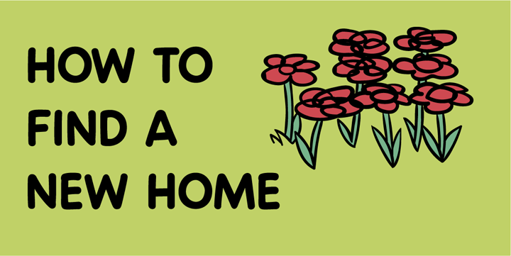 How to find a new home