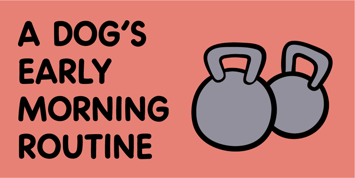 A dog’s early morning routine