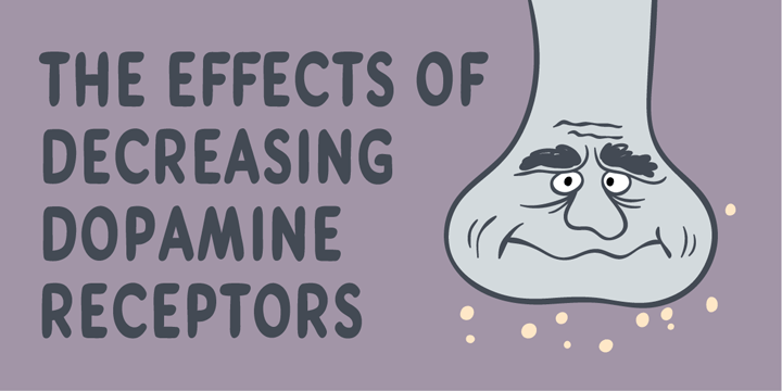 The effects of decreasing dopamine receptors