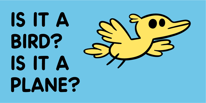 How to tell a bird from a plane